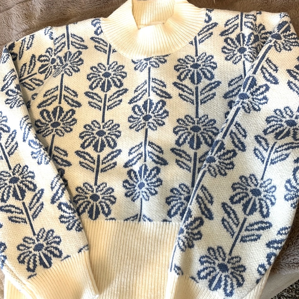 Beautiful ivory and blue sweater